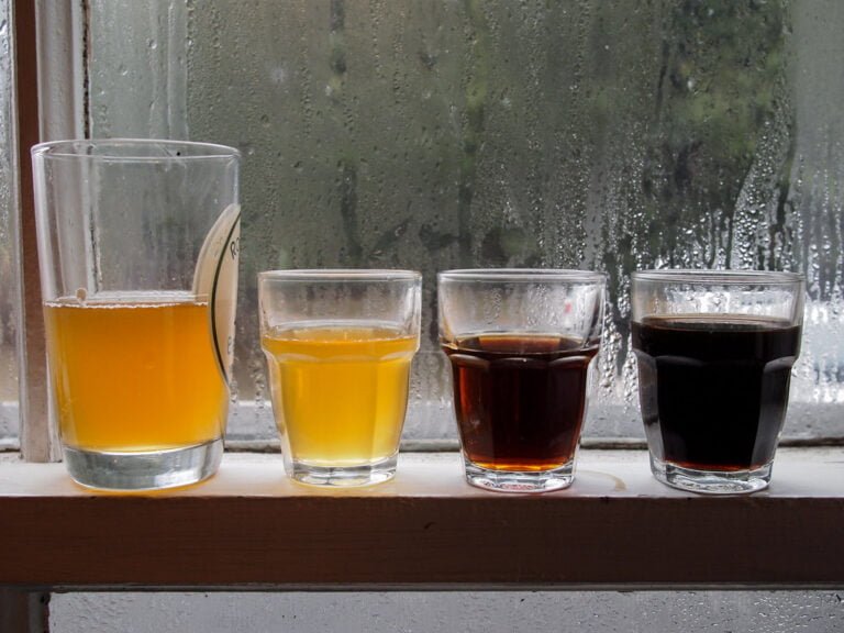 Four glasses with varying shades of liquid standing on a windowsill against a rainy window. From left: a half-full glass with orange liquid, a small glass with yellow liquid, a small glass with brown liquid, and a small glass with dark brown, almost black liquid.