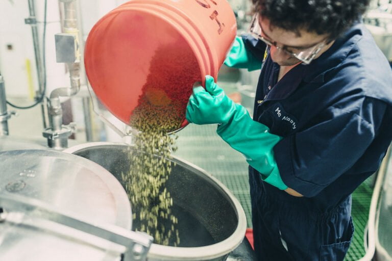A worker wearing safety glasses and green gloves pours a red bucket of hops into a brewing kettle at a beer production facility.