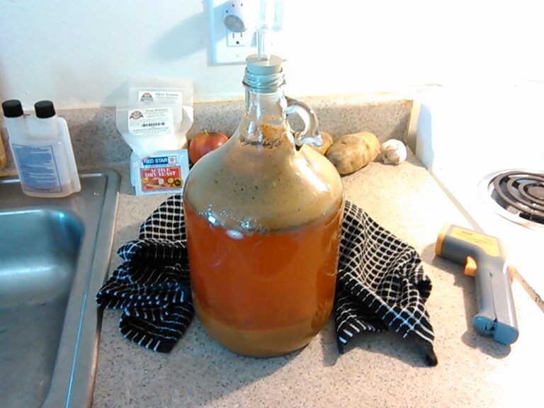 A large glass jug filled with a cloudy amber liquid with foam on top is sitting on a kitchen counter. The counter also holds various items, including a packet of active dry yeast, a dishtowel, a thermometer, and some fruits and vegetables in the background near a kitchen sink and stove.