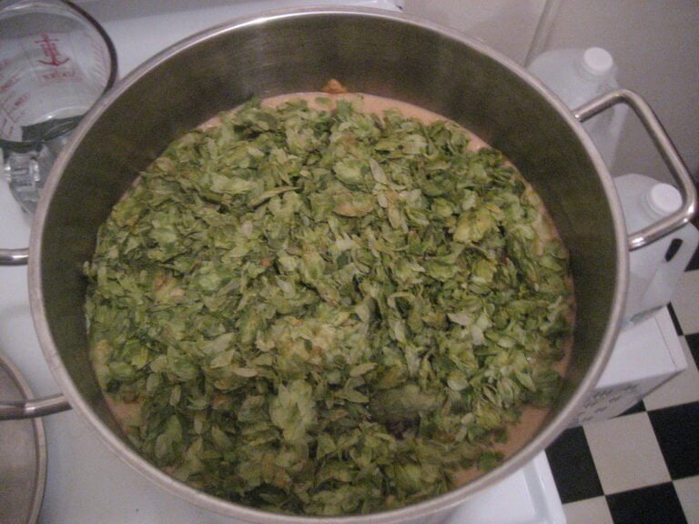 A stainless steel brewing pot filled with green hop cones, resting on a stove next to a pyrex measuring cup and a plastic jug.
