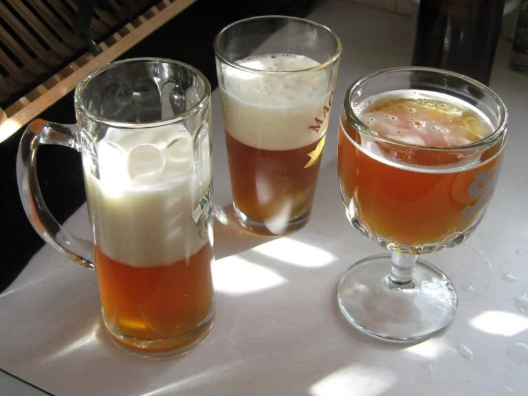 Three different styles of beer glasses, each partially filled with beer, sitting on a sunlit table.