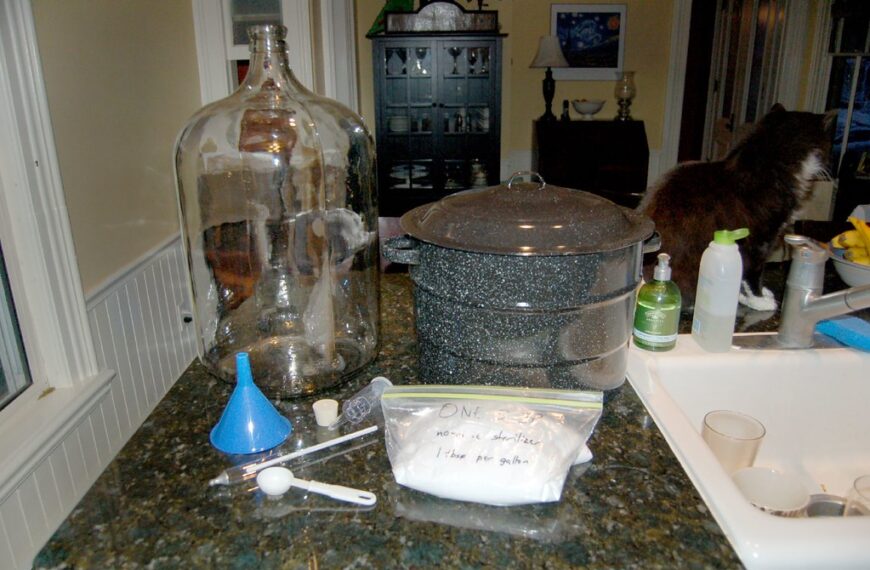 Homebrewing equipment on a kitchen counter, including a large glass carboy, a funneled lid, measuring spoons, and a bag labeled "ONE STEP," with a black and white cat sitting next to a canning pot on the counter.
