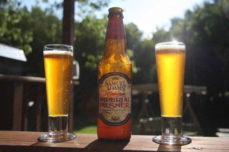 A bottle of Samuel Adams beer placed between two full glasses on a wooden outdoor table, with natural sunlight and greenery in the background.