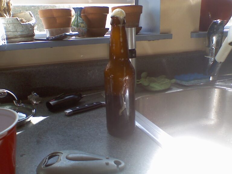 An overflowing beer bottle on a kitchen counter with foam running down the side, surrounded by a beer opener, some pots, and kitchen utensils. Sunlight streams in from a window above the sink.