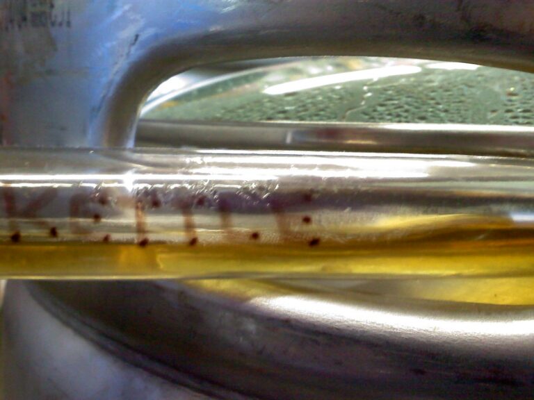 A close-up view of a clear plastic tube with a yellowish liquid inside, containing several dark particles or sediments settled at the bottom.