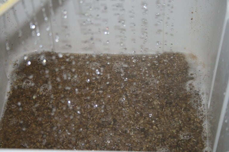 Water being poured into a container with soil, causing bubbles and slight froth on the surface.