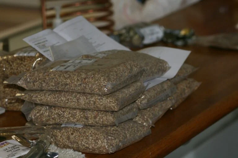 Stacked clear plastic bags filled with grains on a wooden table, accompanied by various papers and another bag with a blue label.