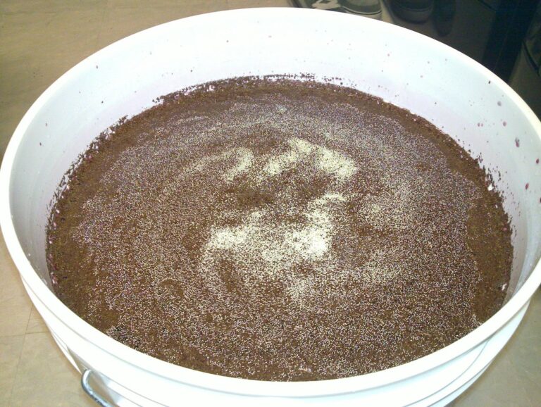 A large white container filled with dark brown fermenting liquid, likely wine, showing a sprinkling of lighter specks on the surface.
