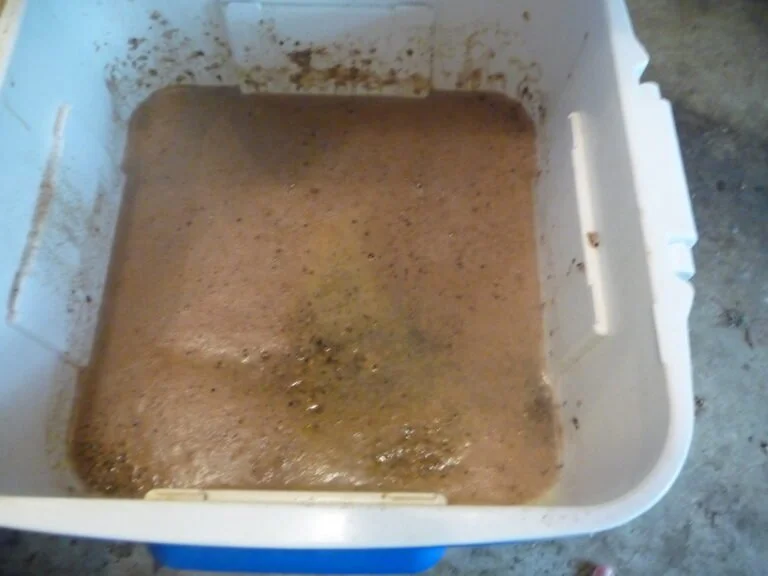 A dirty, white plastic container filled with murky water and sediment.