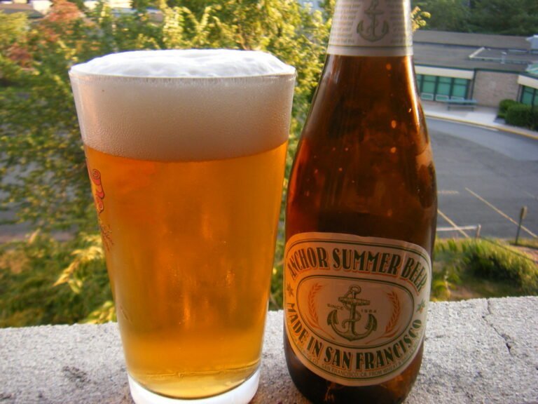 A glass of beer with a thick foam head next to its corresponding labeled bottle, branded "Anchor Summer Beer," against an outdoor backdrop with trees and a building in the distance.