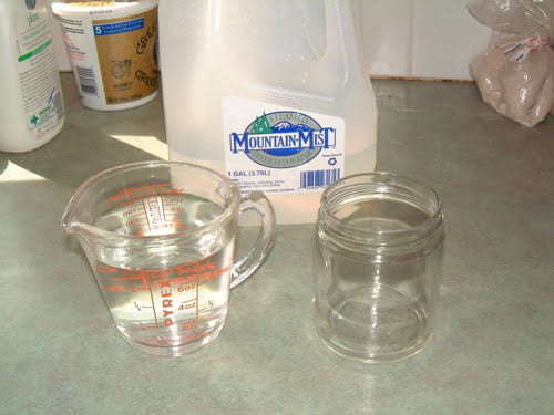 A measuring cup with liquid next to an empty glass mug and a gallon of Mountain Mist water on a kitchen counter.