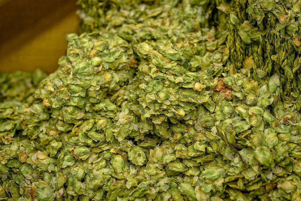 Crafting the Perfect All-Grain Recipe: Balancing Malts and Hops - Yeast ...