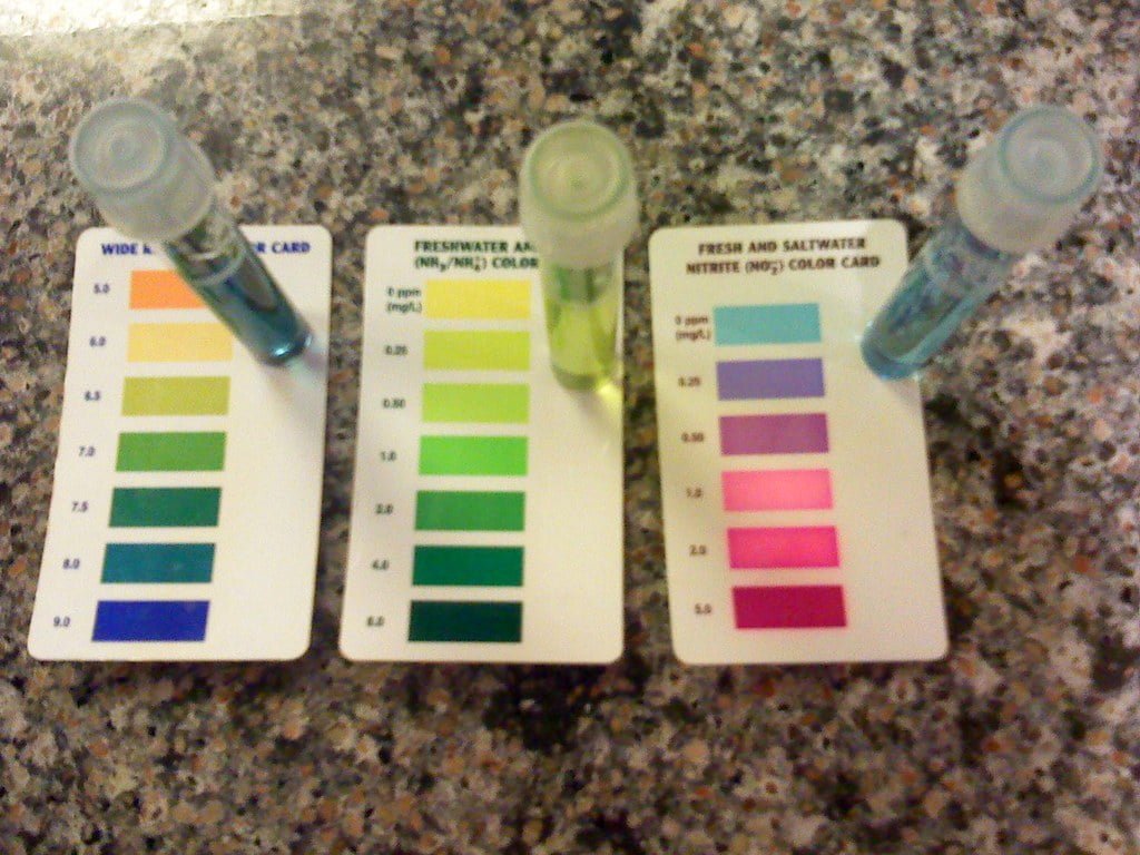 Three water testing vials placed on corresponding color cards with a gradient of colors for measuring pH levels, ammonia, and nitrite concentrations in an aquarium.