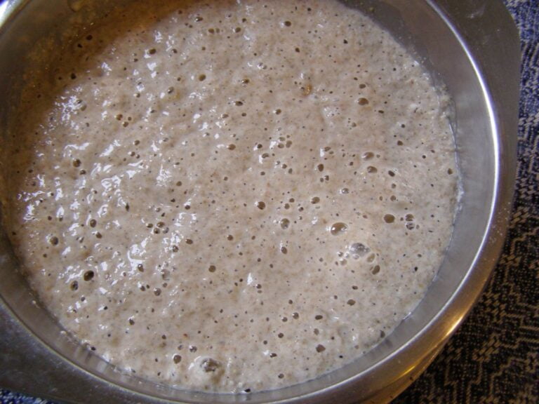 A close-up image of a bubbly sourdough starter in a metallic bowl.