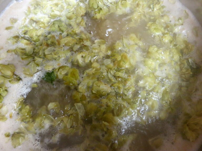 Close-up of hops floating in liquid during the brewing process.