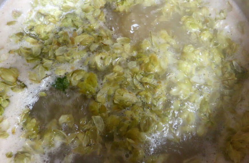 Close-up of hops floating in liquid during the brewing process.