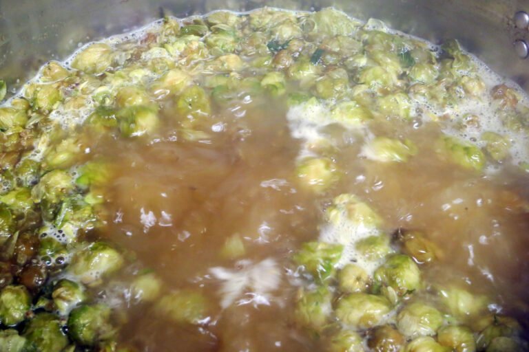 Boiling hops in a brewing kettle during beer production, creating a frothy surface.