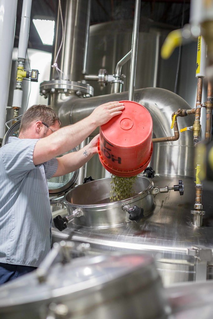 A person pouring hops from a red bucket into a stainless steel brewing kettle in a brewery.