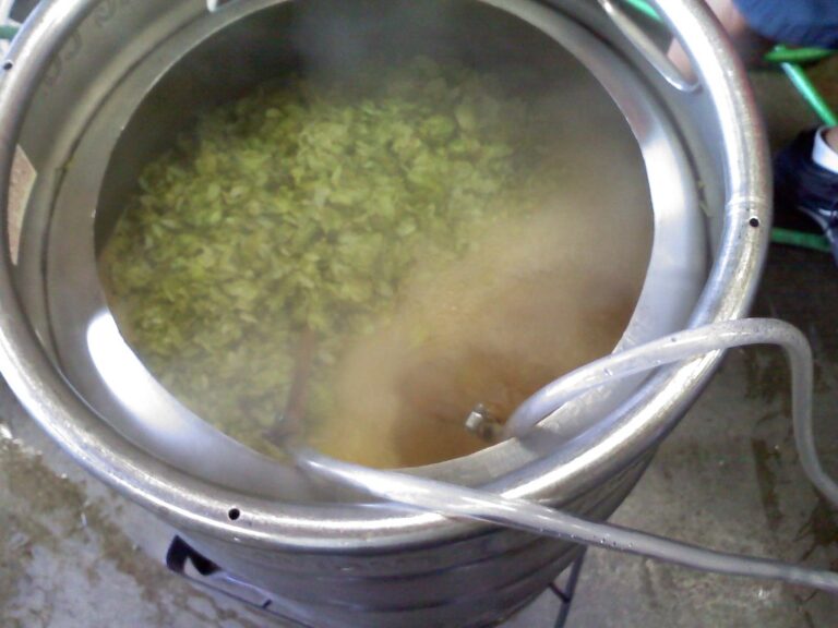 A stainless steel brewing kettle with hops floating on top of the wort during the beer brewing process, with a siphon hose on the side.
