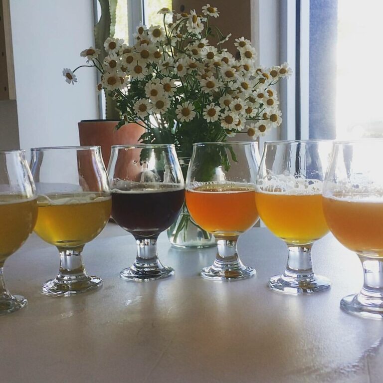 A row of various beers in tulip glasses with a bouquet of white daisy flowers in the background, on a table inside a well-lit room.