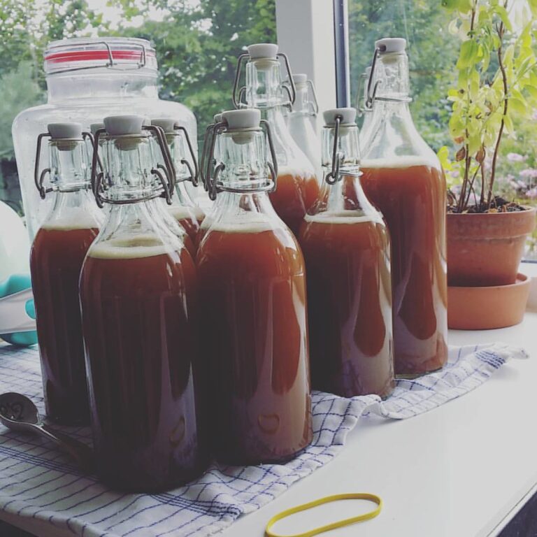 Several glass bottles with swing-top seals, filled with a brown liquid, presumably homemade beverage, standing on a kitchen counter near a window with plants in the background.