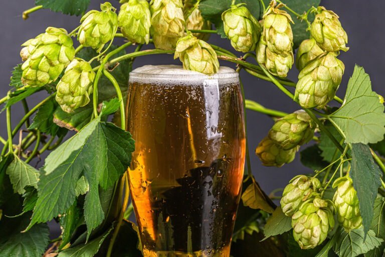 A glass of beer surrounded by fresh green hops against a dark background.