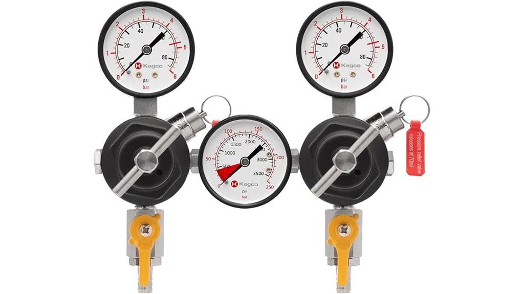 commercial dual body regulator