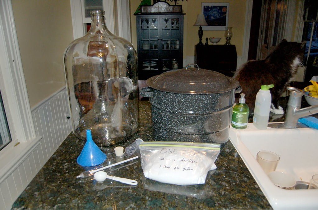 A homebrewing setup on a kitchen counter including a large glass carboy, a pot, a blue funnel, measuring spoons, and a bag labeled with brewing instructions. A cat is perched on the countertop next to the sink.