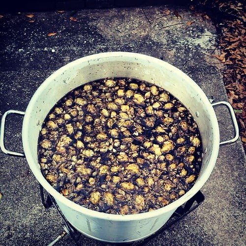 A large pot filled with walnuts soaking in water placed on a concrete surface outside.