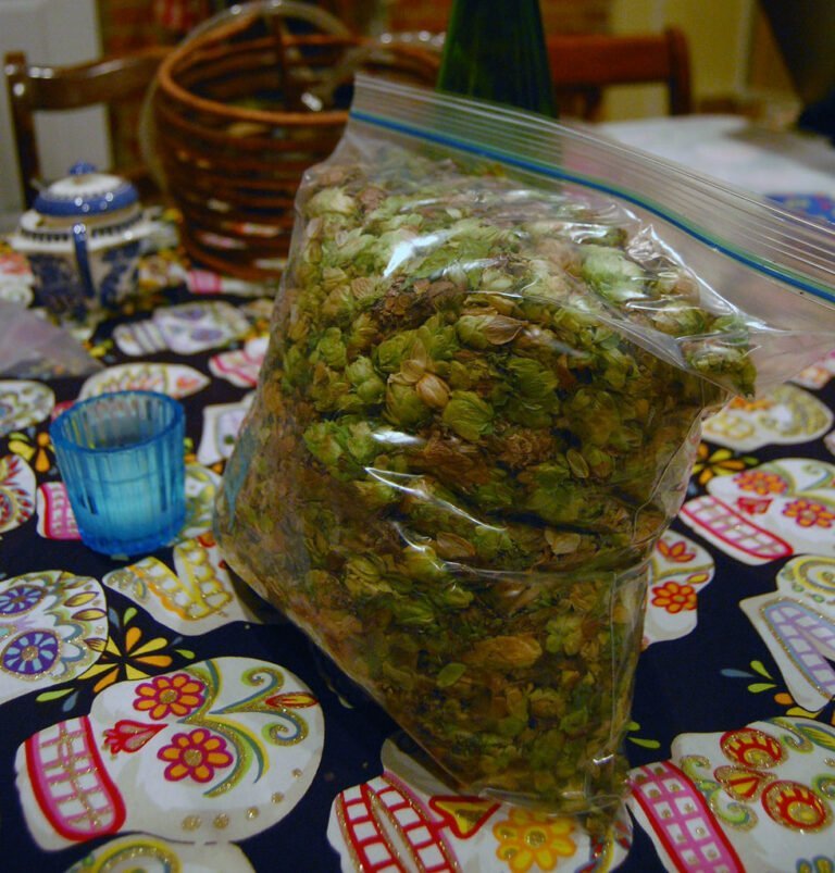 A large zip-top bag filled with green hops placed on a table with a colorful patterned tablecloth, with a blue glass and other items in the blurred background.