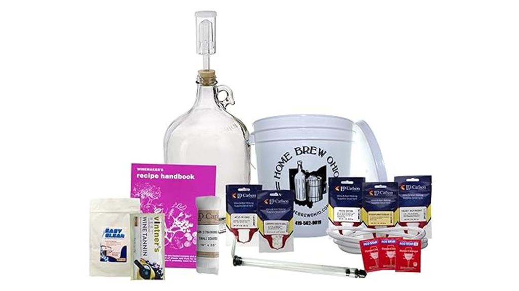 fruit wine brewing kit