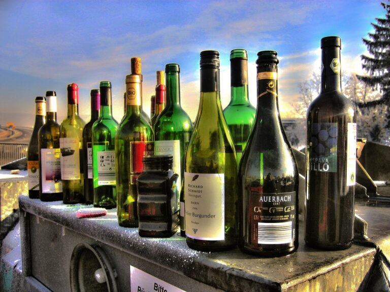 A collection of various empty wine and liquor bottles on an outdoor surface, backlit by the sun with frost on the ground.