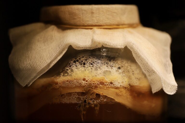 A close-up of a glass jar of fermenting kombucha covered with a white cloth, showing bubbles and layers of the SCOBY (symbiotic culture of bacteria and yeast) inside.