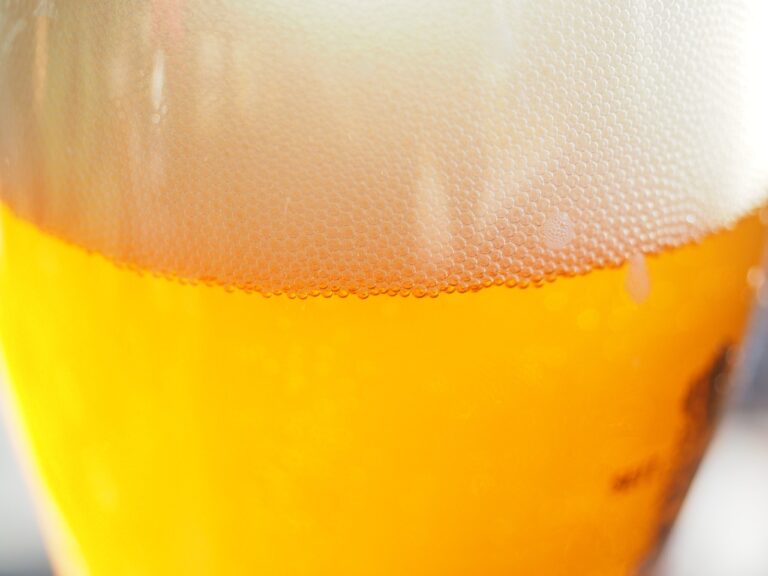 Close-up of a glass of beer with a frothy head and visible carbonation bubbles.
