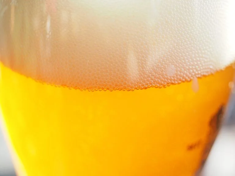 Close-up of a glass of beer with a frothy head and visible carbonation bubbles.