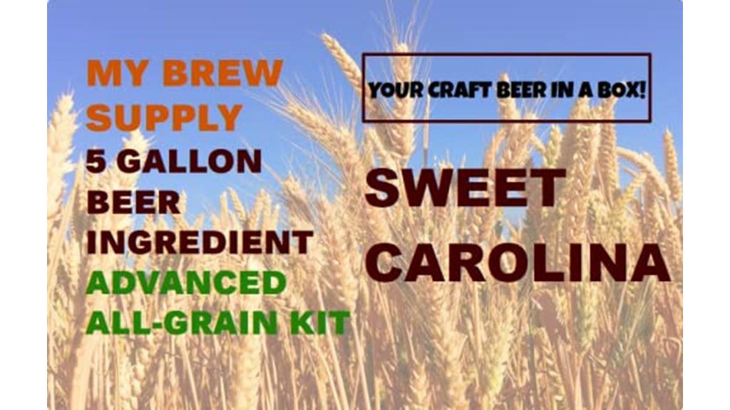 home brew beer kit
