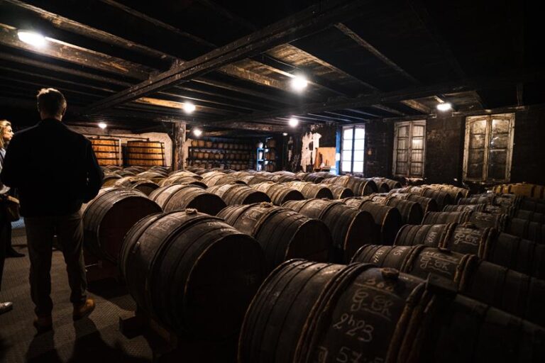 A dimly lit traditional wine cellar with rows of wooden barrels and people on a tour.