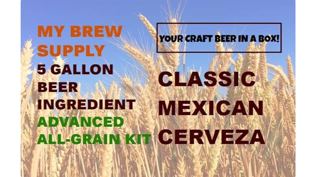 mexican beer ingredient kit