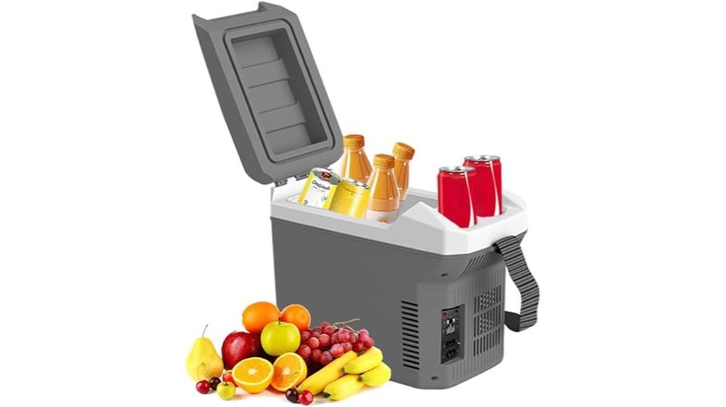 portable car fridge warmer