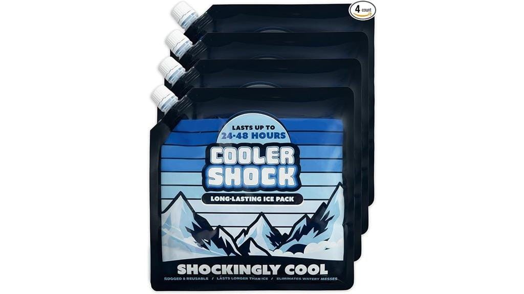 reusable ice packs for coolers