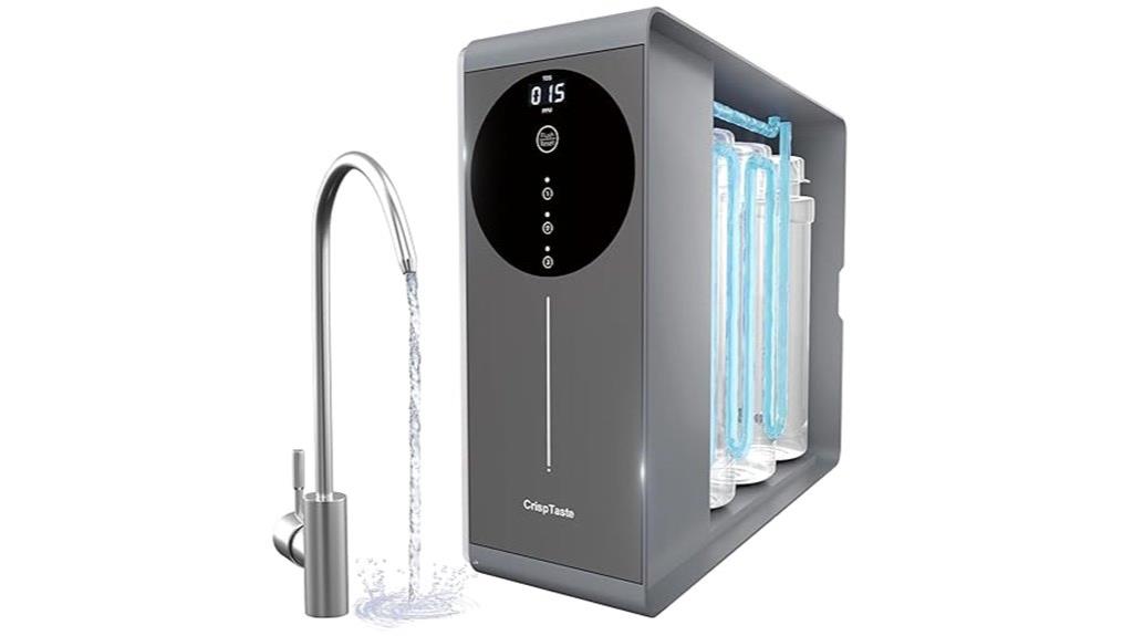 tankless water filtration system